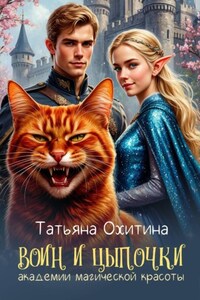 Воин и цыпочки академии магической красоты
