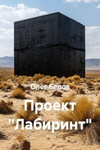 Проект "Лабиринт"