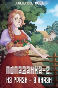 Попаданка-2. Из грязи - в князи