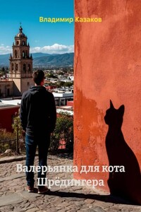 Валерьянка для кота Шрёдингера