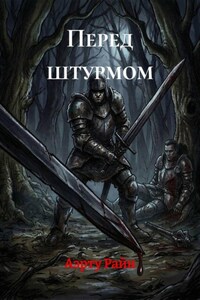 Перед штурмом
