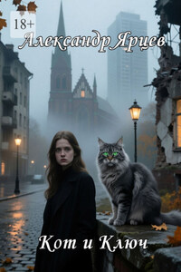 Кот и ключ