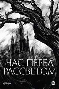 Час перед рассветом