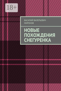 Новые похождения Снегуренка