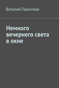 Немного вечернего света в окне