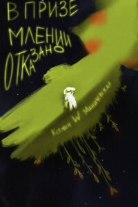 В приземлении отказано