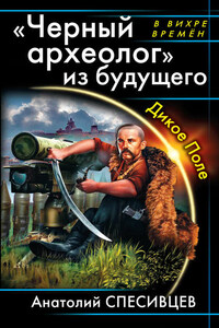 «Черный археолог» из будущего. Дикое Поле