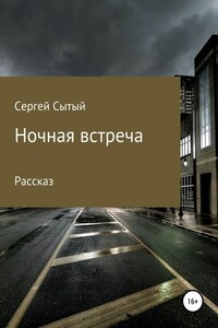 Ночная встреча