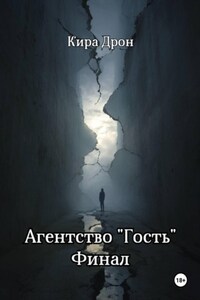 Агентство «Гость». Финал