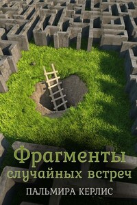 Фрагменты случайных встреч (сборник)