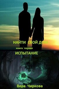 Найти свой дом. Книга первая. Испытание