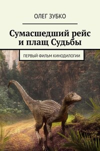 Сумасшедший рейс и плащ Судьбы. Первый фильм кинодилогии