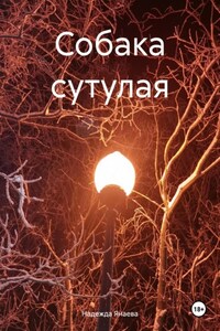 Кали-юга
