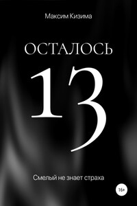 Осталось 13