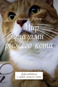 Мир глазами рыжего кота. Повествование о судьбе рыжего кота