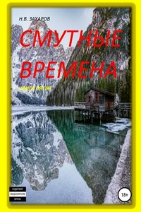 Смутные времена. Книга 5