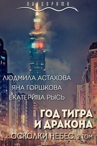 Год тигра и дракона. Осколки небес