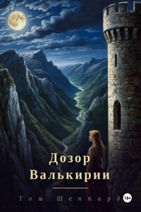 Дозор валькирии