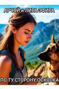 По ту сторону осколка