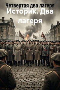 Историк. Два лагеря