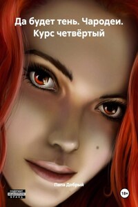 Да будет тень. Чародеи. Курс четвёртый