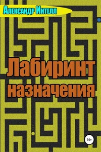 Лабиринт назначения