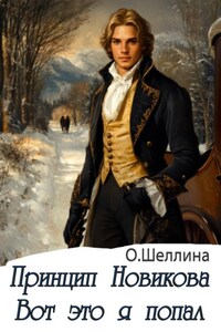 Принцип Новикова. Вот это я попал