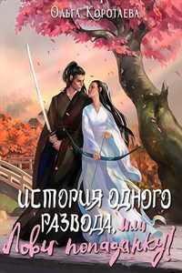 История одного развода, или Лови попаданку!
