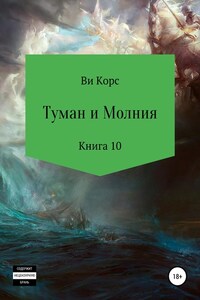 Туман и Молния. Книга 10