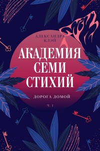 Академия семи стихий. Дорога домой