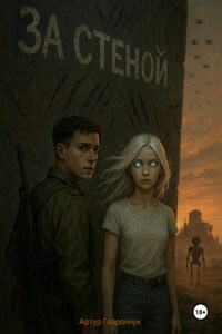 За стеной