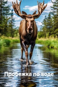 Пробежка по воде