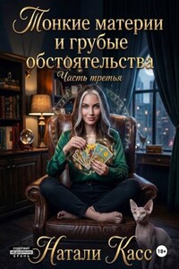 Тонкие материи и грубые обстоятельства. Часть третья