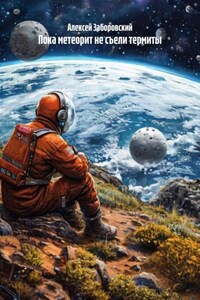 Пока метеорит не съели термиты