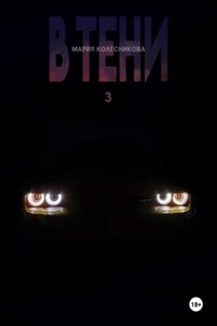 В Тени 3