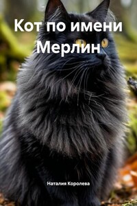 Кот по имени Мерлин