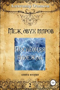 Меж двух миров 2: Последняя надежда