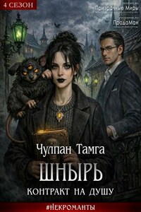 Шнырь. Контракт на душу