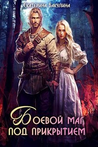 Боевой маг под прикрытием